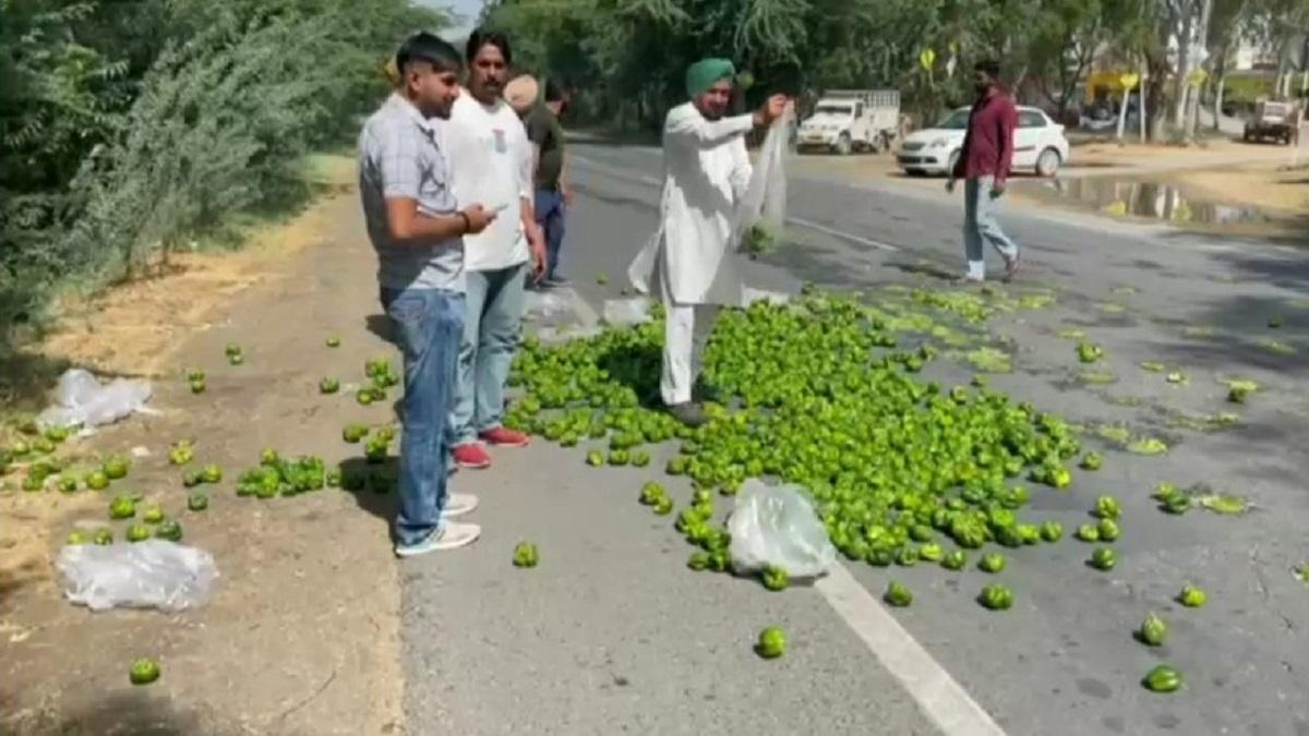 सड़क पर शिमला मिर्च फेंकते हुए पंजाब के किसान
