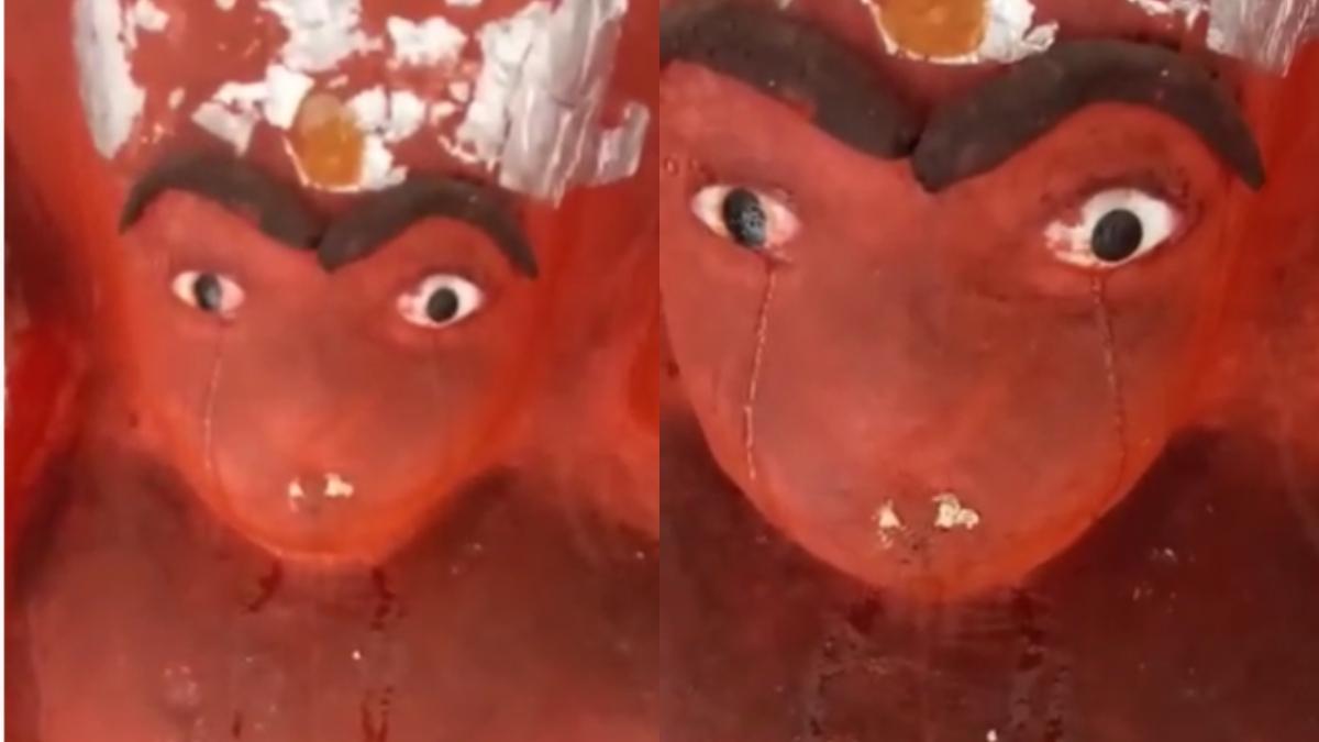 वायरल वीडियो से ली गई फोटो 