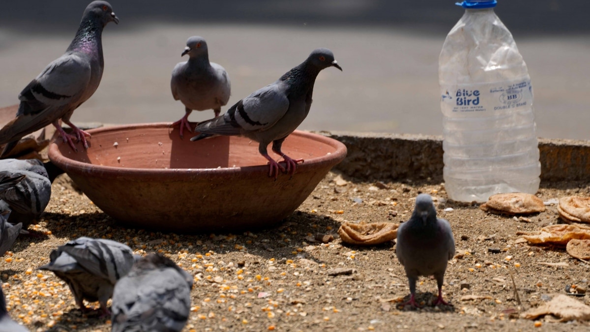 IMD Weather Update (Representational Image)