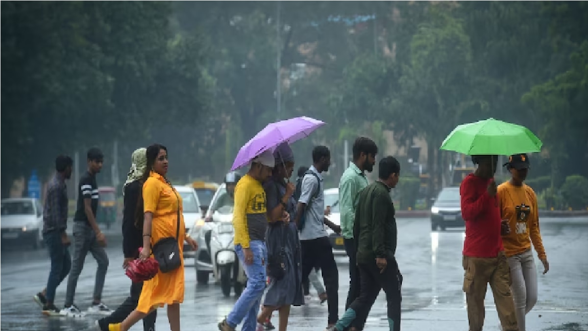 IMD Rainfall Update (Representational Image)