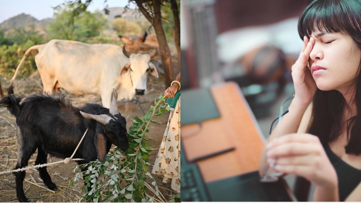 अच्छा वक्त आने से पहले मिलते हैं ये 7 संकेत