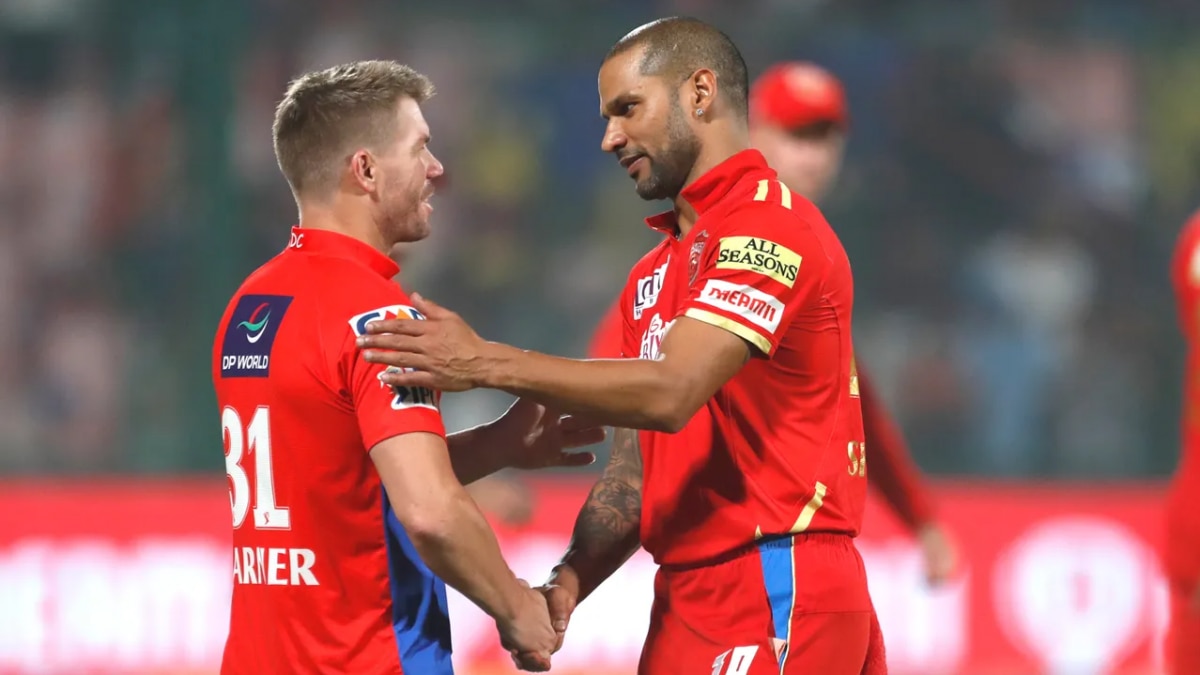 डेविड वॉर्नर और श‍िखर धवन (@IPL)