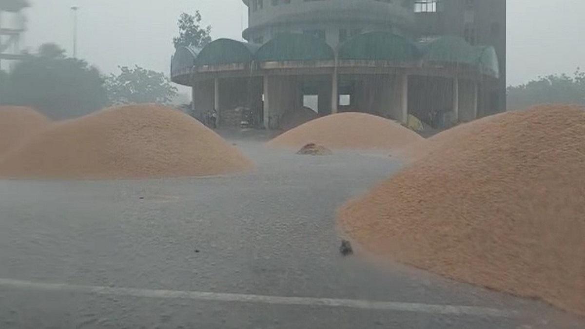 दिल्ली की नरेला मंडी में बारिश में भीगता हुआ अनाज