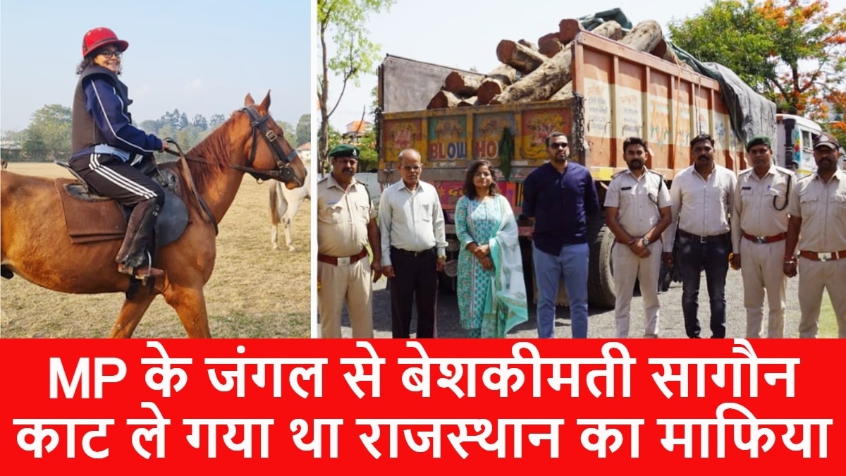 IFS अफसर पूजा नागले बैतूल में रेंजर की ट्रेनिंग ले रही हैं. 