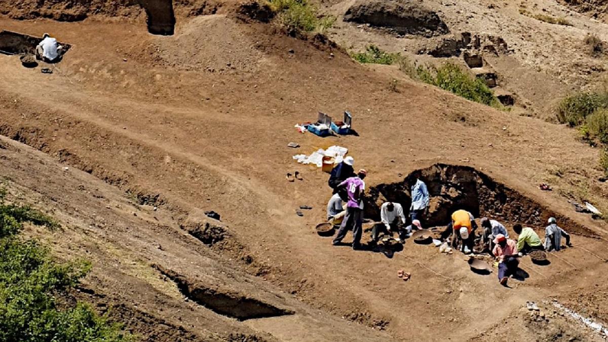 OMG: 29,00,000 साल पुराने कसाई खाने में मिला ऐसा सामान, देखकर...