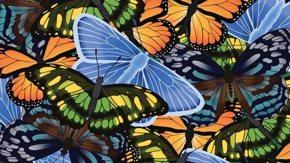 Optical Illusion Quiz Image