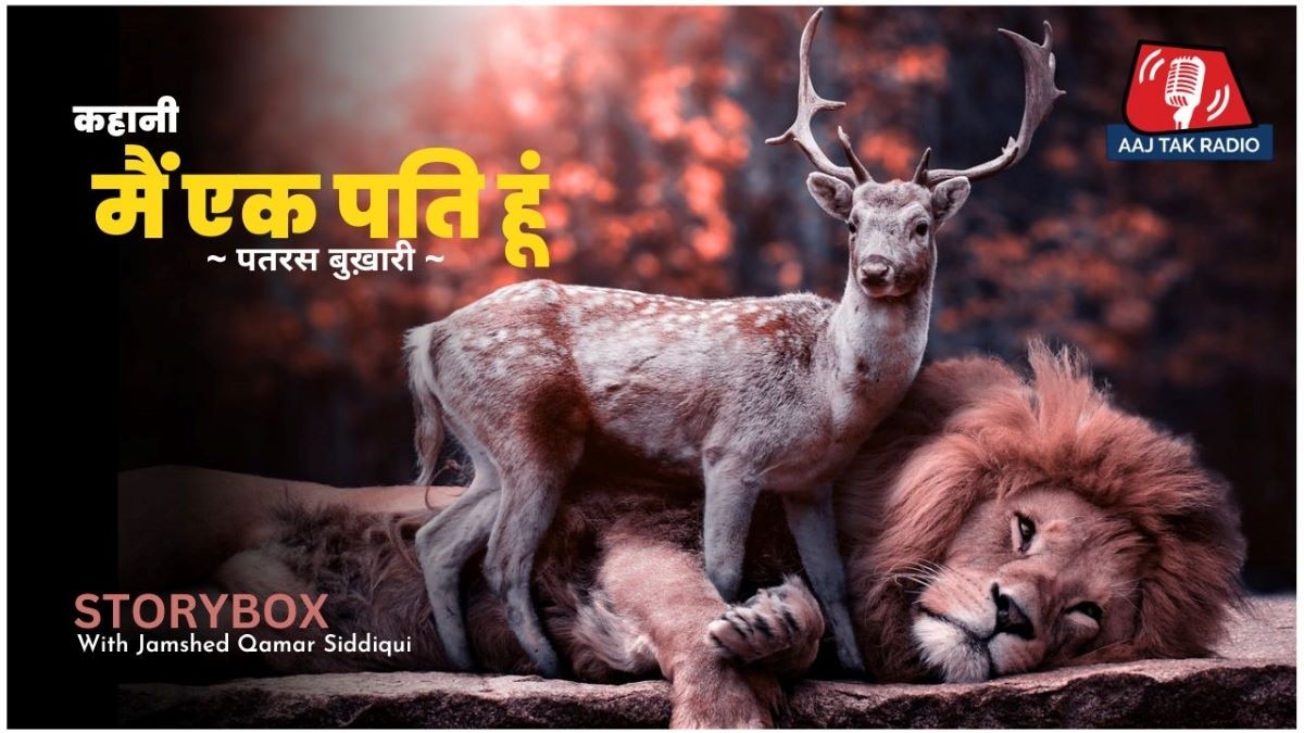 Storybox with Jamshed Qamar Siddiqui, Main Ek Pati Hoon, 