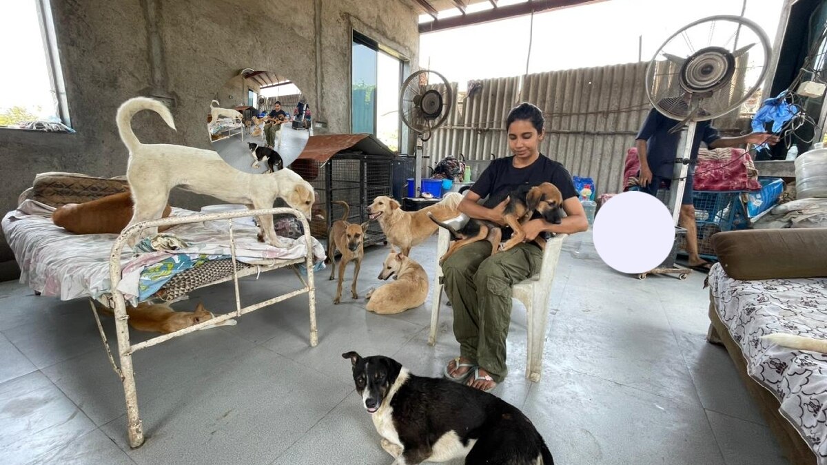 22 साल की लड़की घर में चलाती है रेस्क्यू सेंटर, 100 से ज्यादा घायल जानवरों की कर रही हैं देखभाल