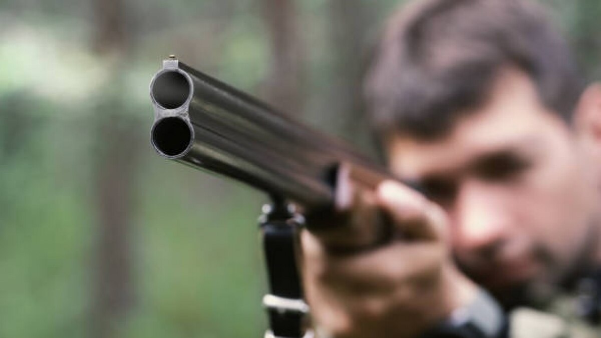 बंदूक की सांकेतिक फोटो (गेटी) 