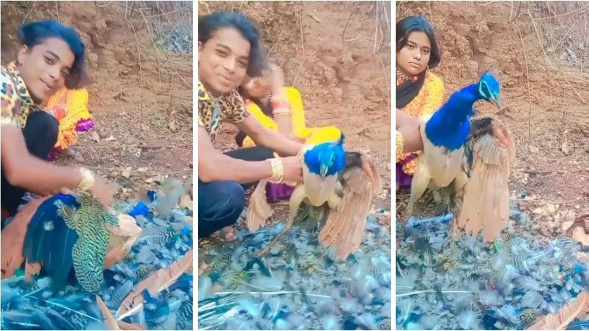 सोशल मीडिया पर वीडियो वायरल.