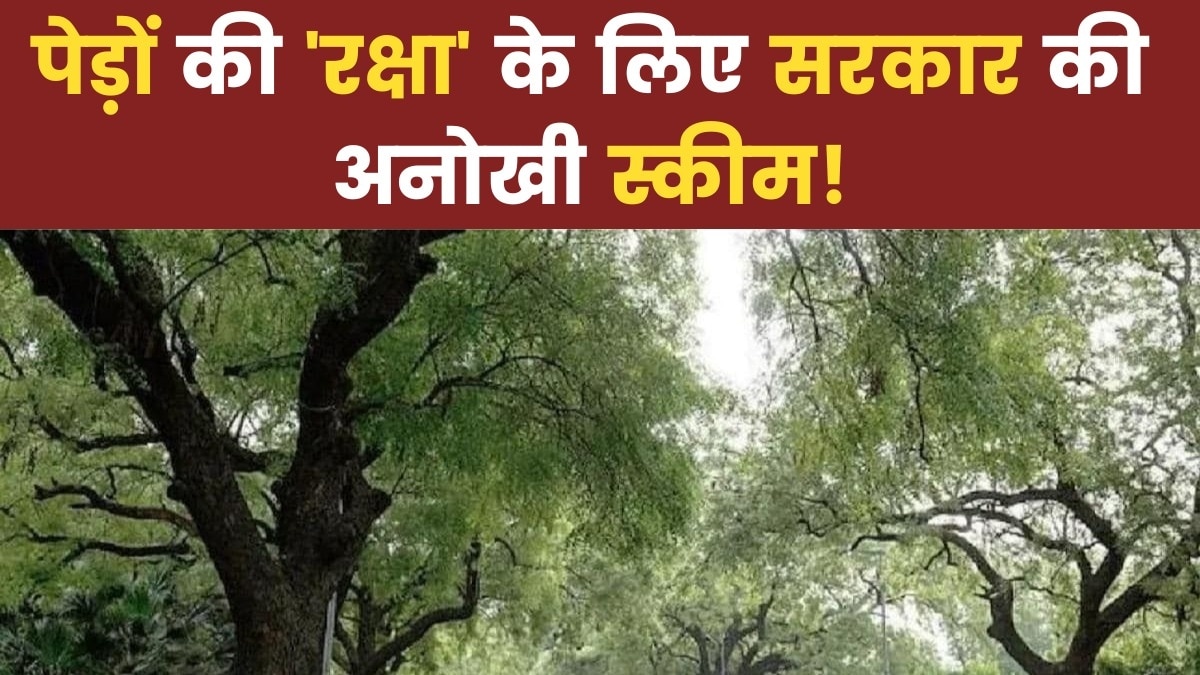 प्राणवायु देवता स्कीम