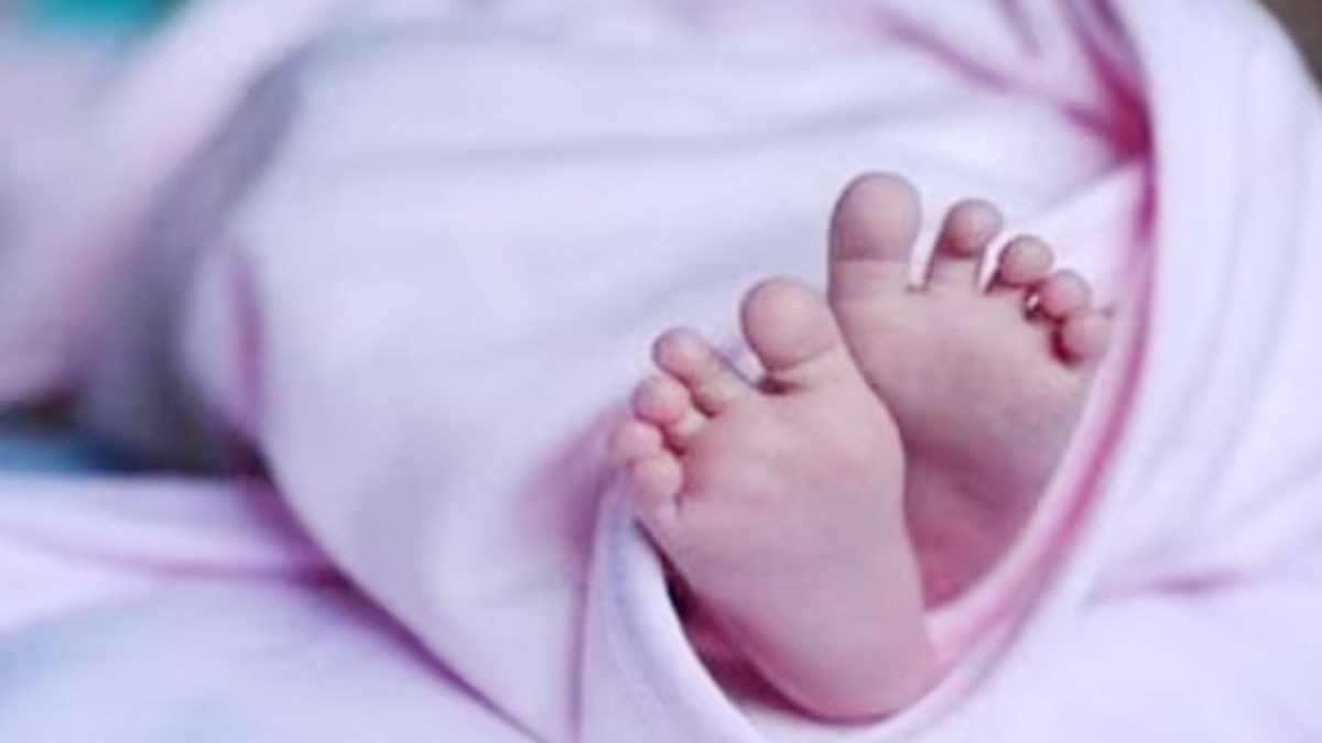 (प्रतीकात्मक फोटो)