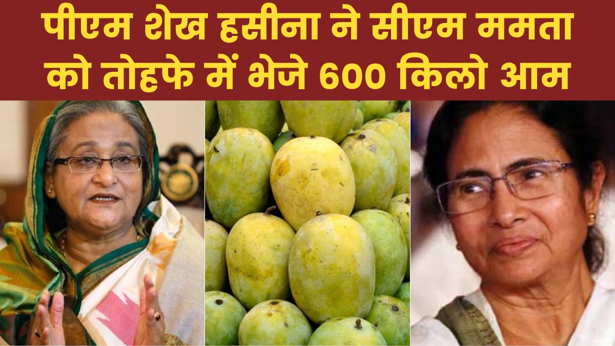 बांग्लादेशी PM शेख हसीना ने ममता बनर्जी को तोहफे में भेजे 600 किलो आम