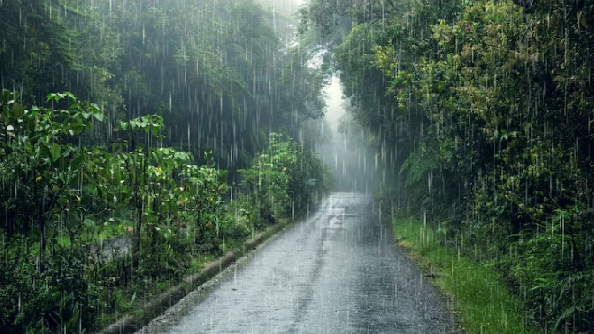 IMD Monsoon Update (Representational Image)