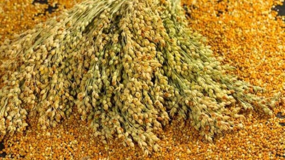 Moong, arhar and urad farming