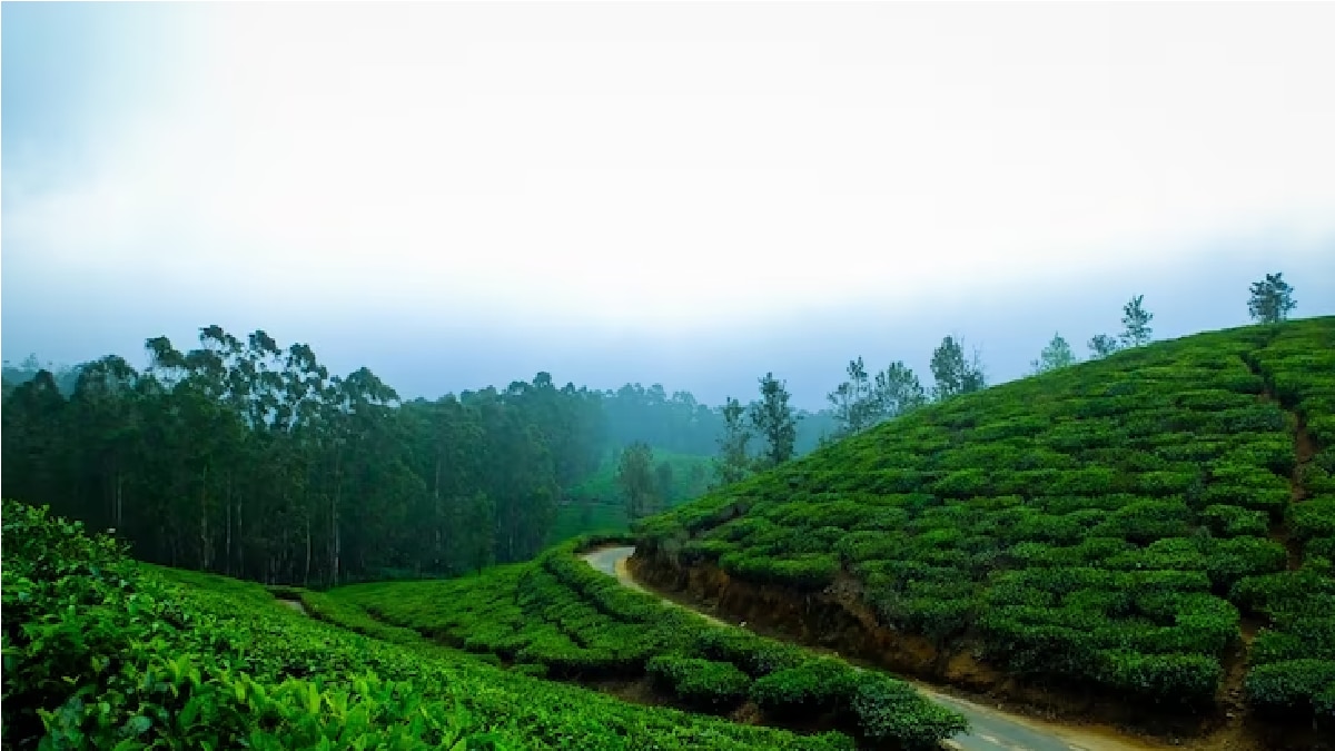 IRCTC Tour Package (Representational Image)