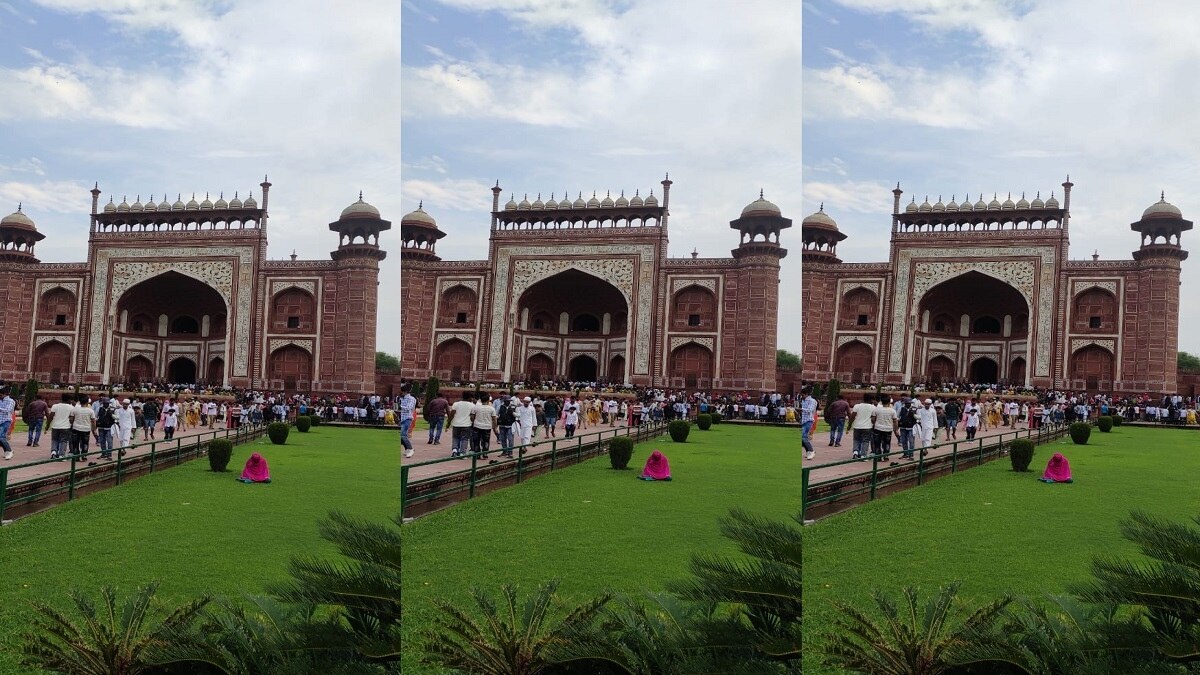 रॉयल गेट के सामने गार्डन में पढ़ती महिला (Screen Shot).