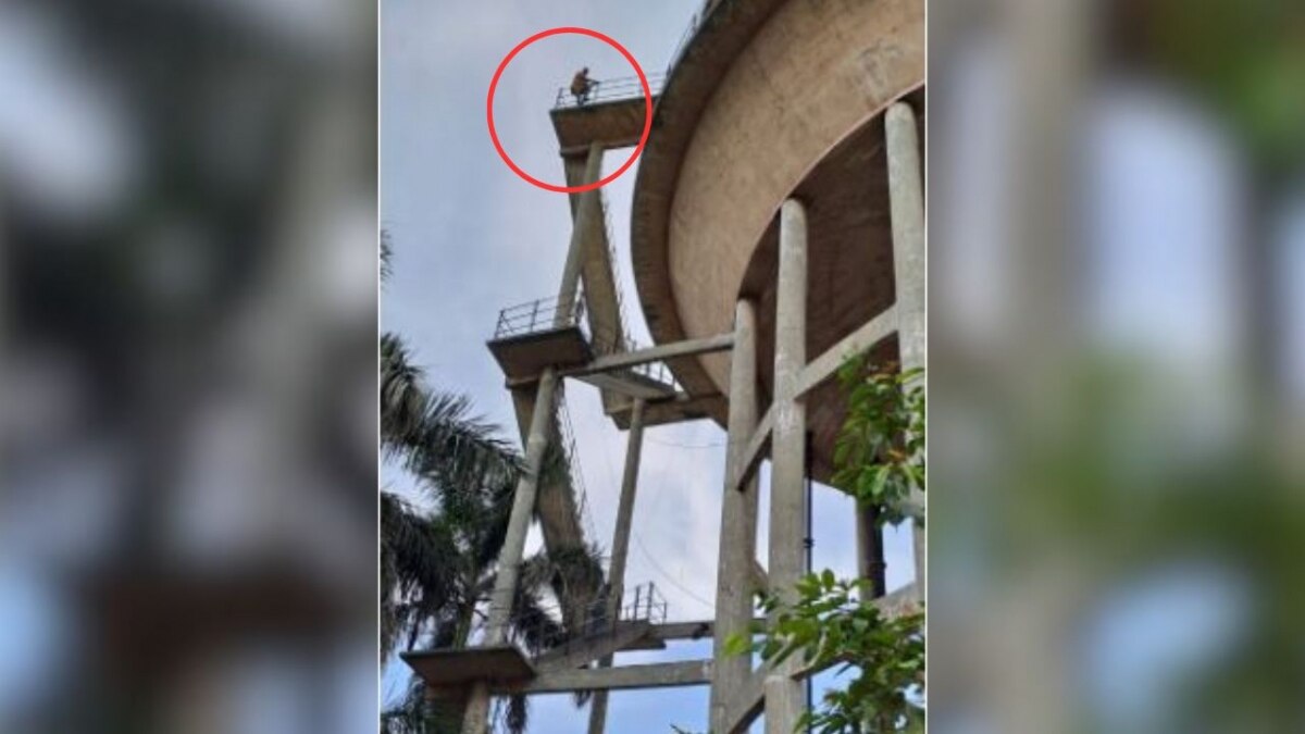 सोशल मीडिया पर वायरल हुआ वीडियो.