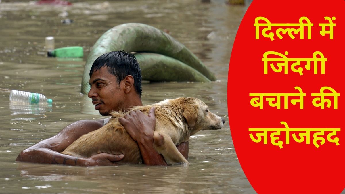 दिल्ली में बाढ़ वाले इलाके से गुजरते समय एक बच्चे ने कुत्ते को सुरक्षित बाहर निकाला. (फोटो-पीटीआई)