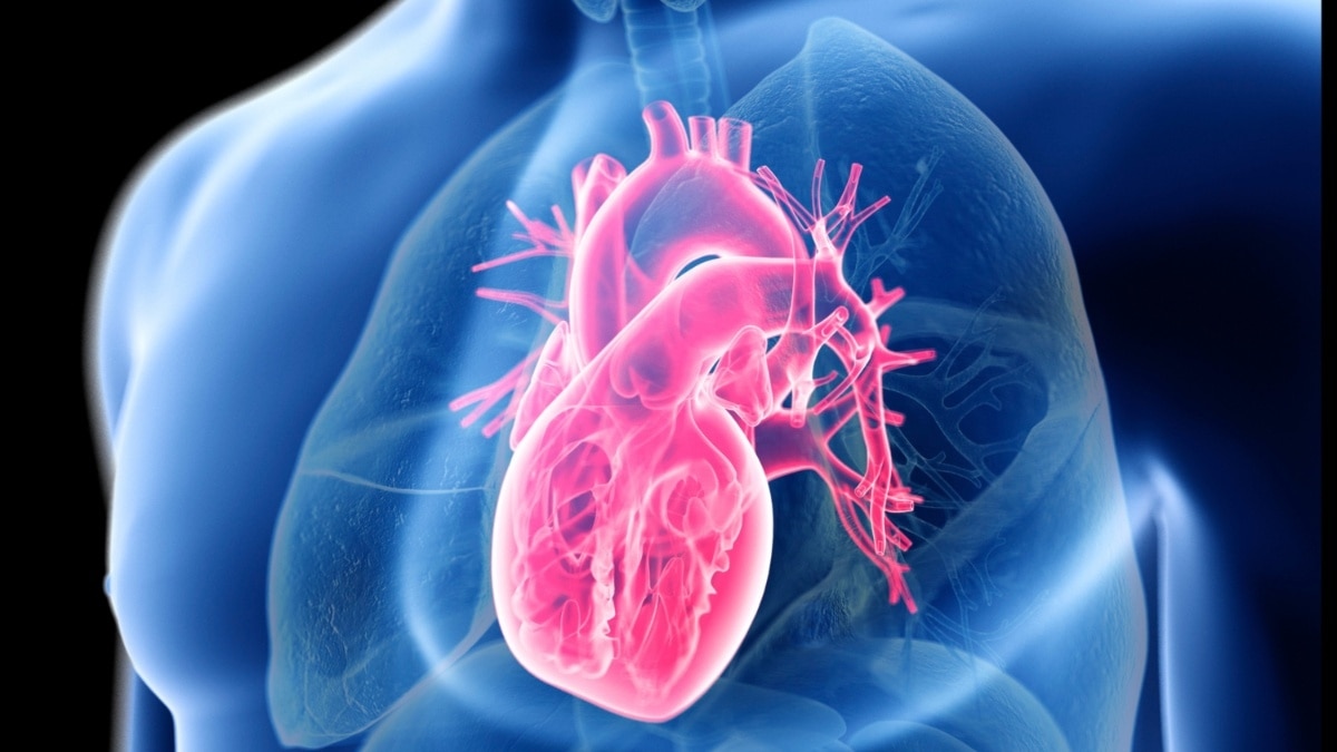 प्रतीकात्मक तस्वीर (PC: Getty)