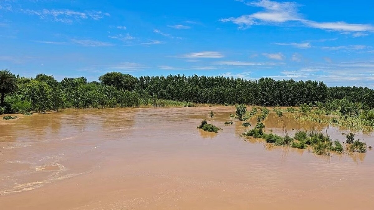 फसल डूबने पर मुआवजा