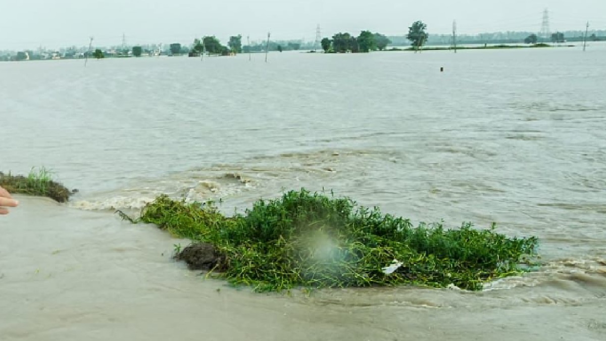 Punjab Floods (Twitter)