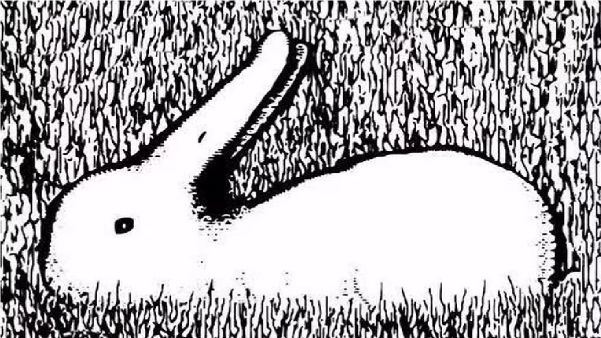 Optical Illusion Personality Test (Pic Credit: Social Media)