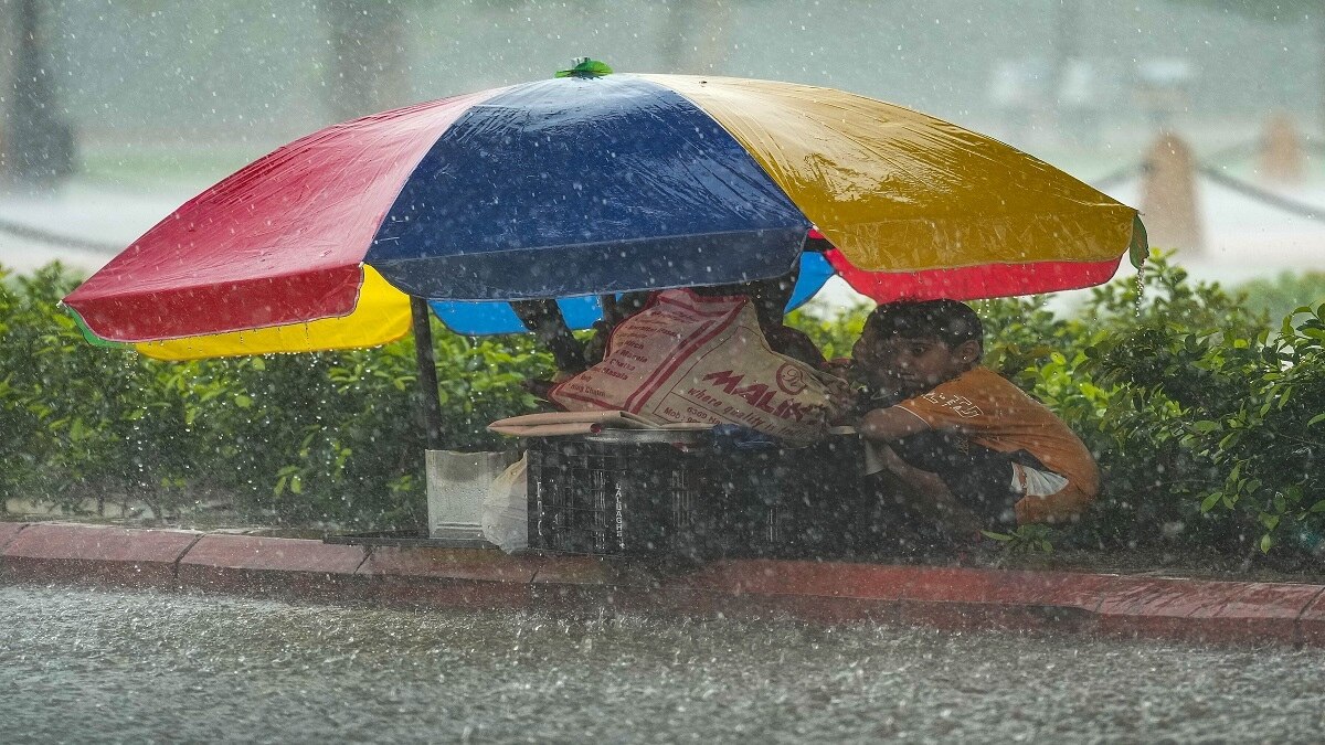 Rainfall (Image: PTI)
