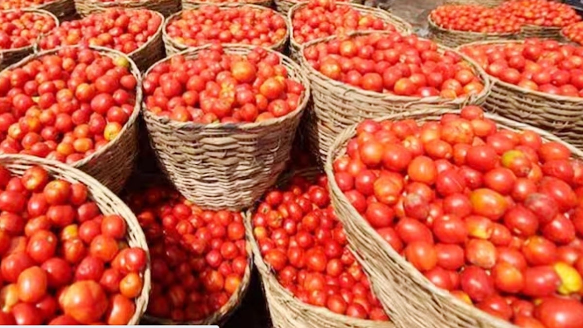 (प्रतीकात्मक फोटो)