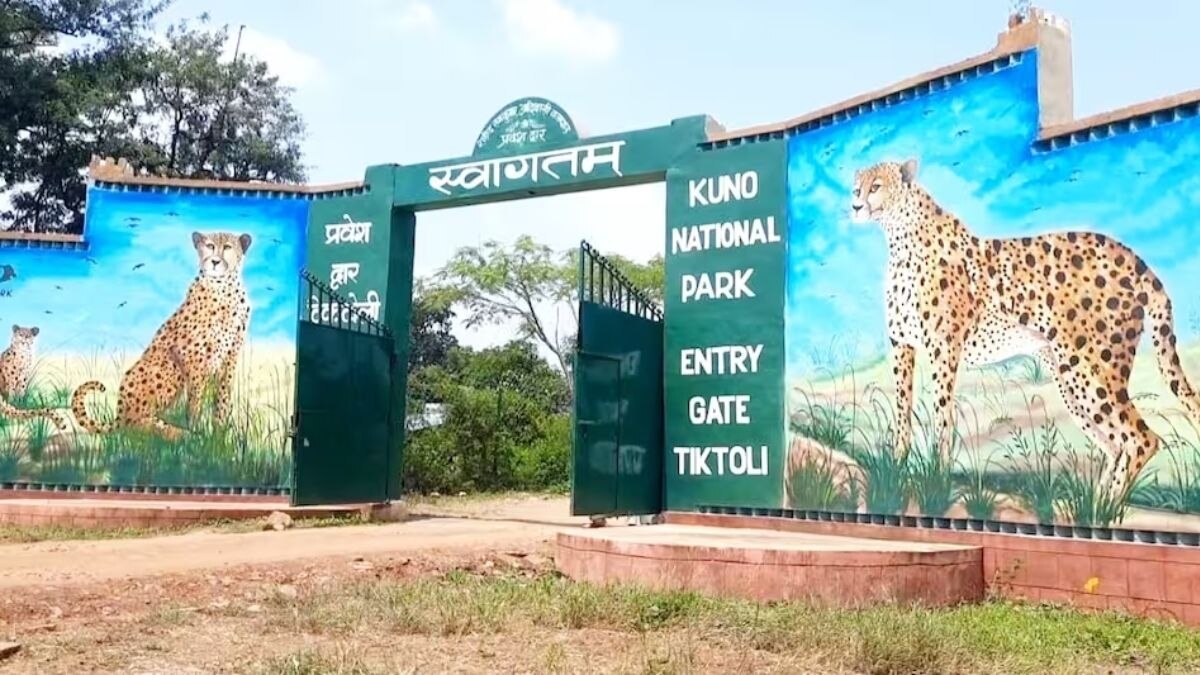 कूनो नेशनल पार्क.