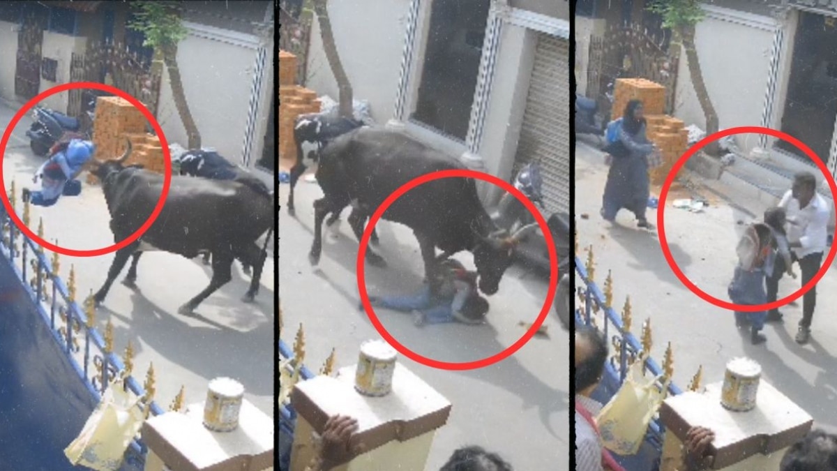 चेन्नई में बुधवार को हुई घटना