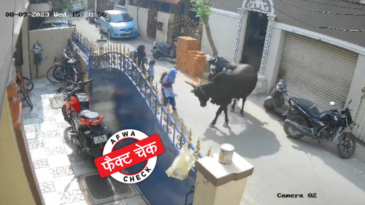 सोशल मीडिया यूजर्स