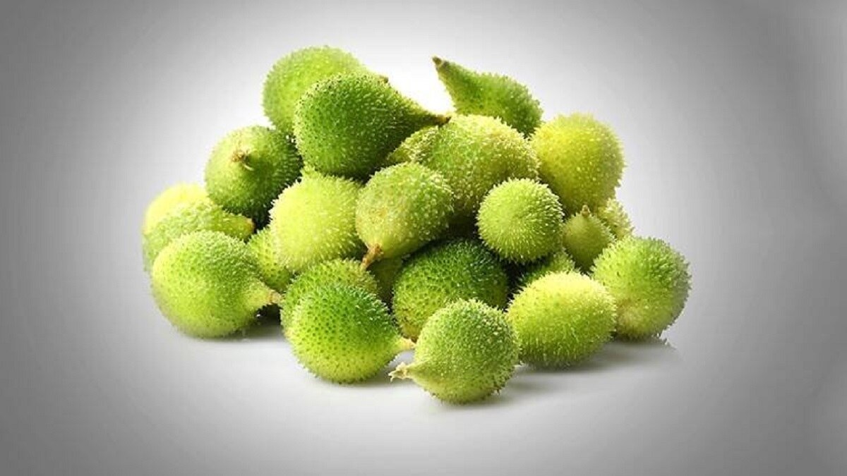 ककोड़ा की खेती