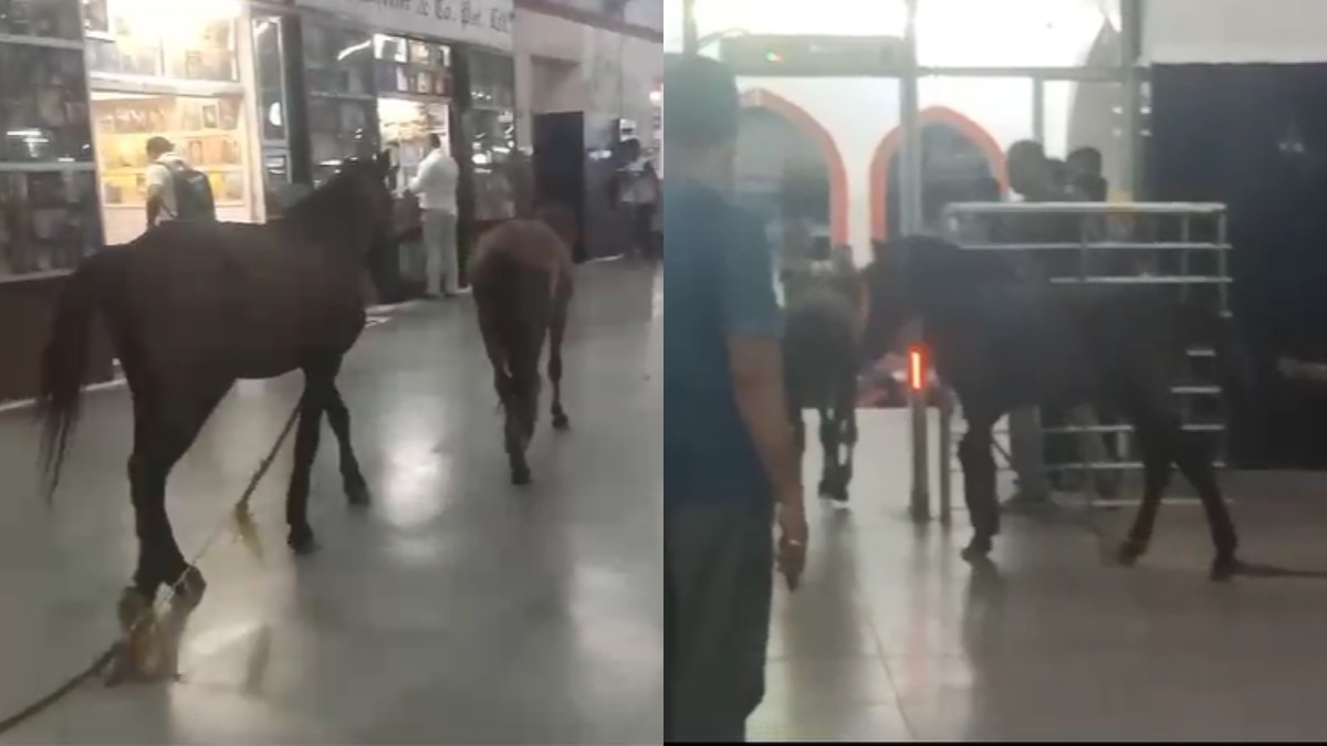 कानपुर सेंट्रल रेलवे स्टेशन पर दौड़े दो घोड़े.