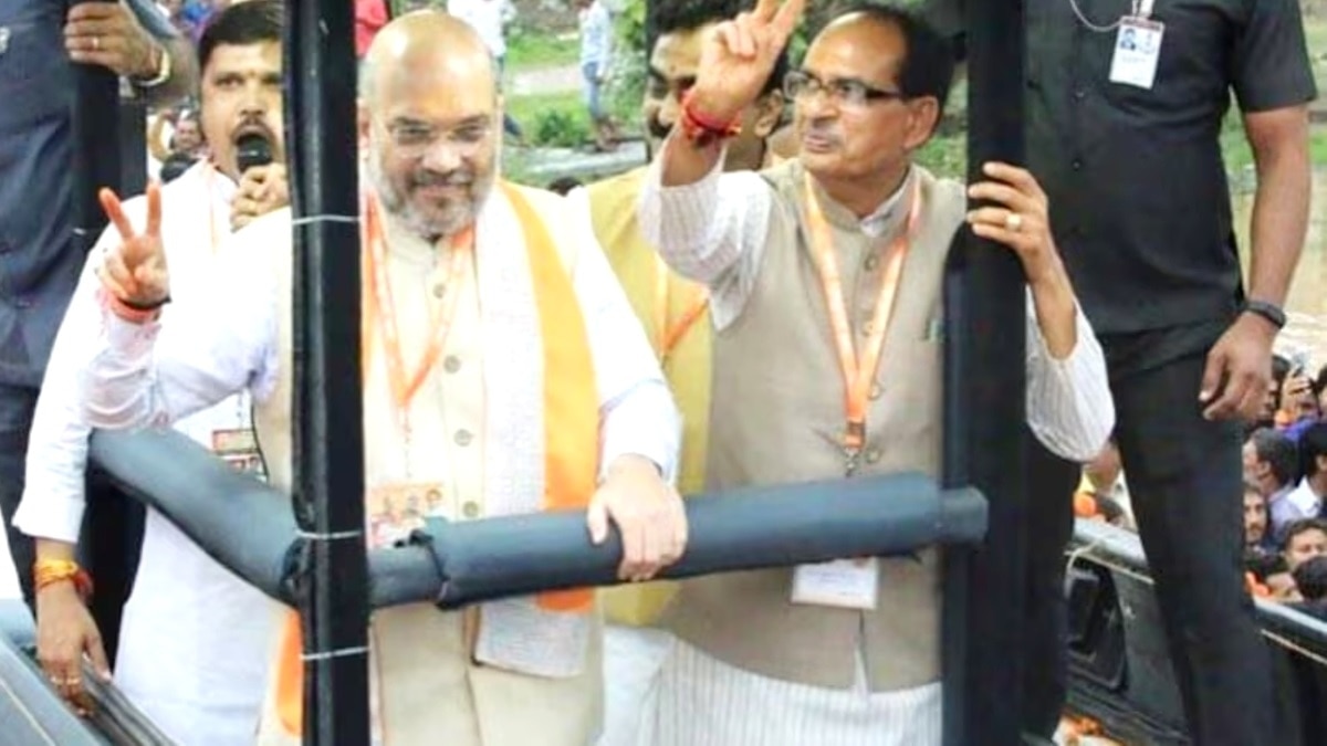 BJP के दिग्गज नेताओं अब जनआशीर्वाद यात्रा में बुलाया जाएगा. (फाइल फोटो)