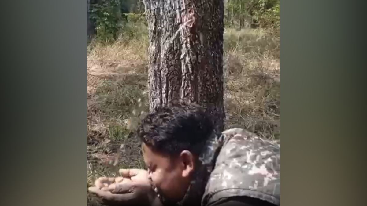 पेड़ के तने से निकल रही नल जैसी धार, लोग मान रहे चमत्कार, जानकारों ने बताई ये वजह, Video