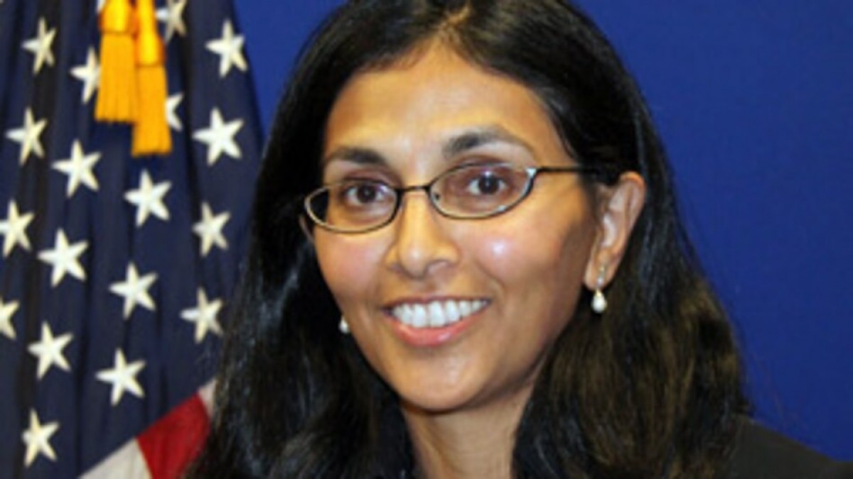 निशा बिस्वाल (फाइल फोटो)