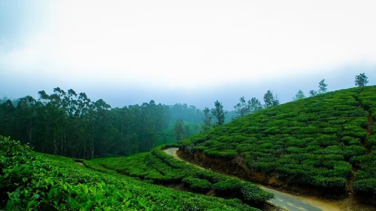 Ooty tour package 