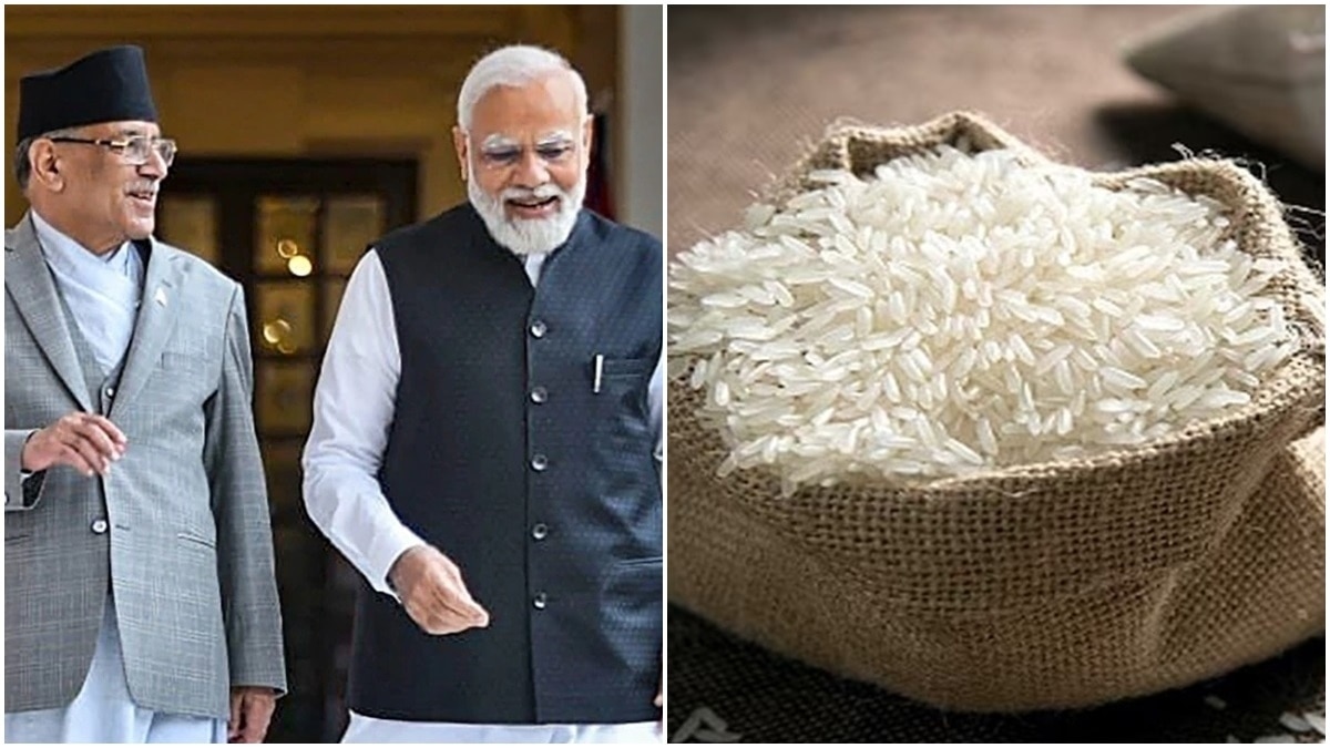 चावल निर्यात पर बैन से बाहर रहेगा नेपाल