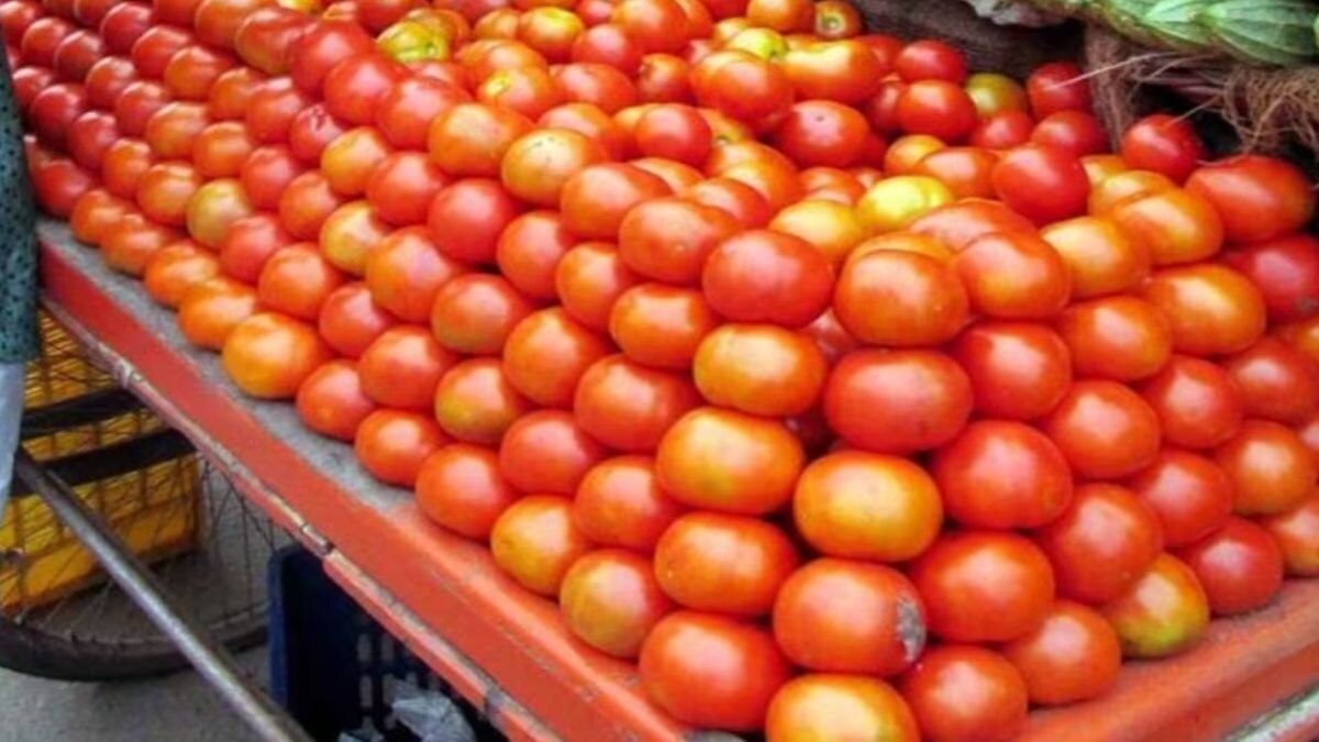 प्रतीकात्मक फोटो