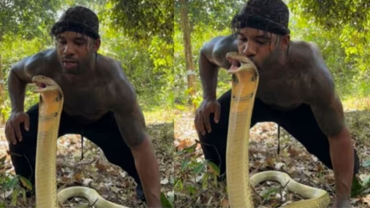 पागलपन! शख्स ने जहरीले कोबरा को किया Kiss, फिर.. वायरल हुआ शॉकिंग VIDEO