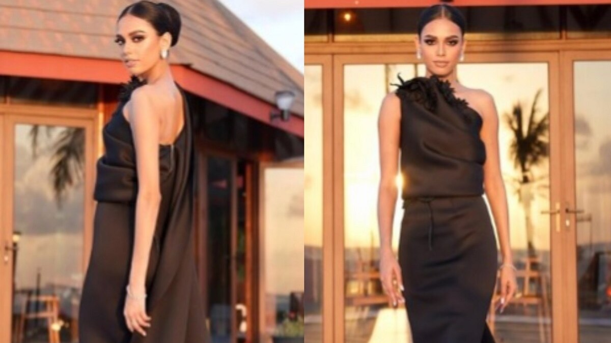 मिस यूनिवर्स के लिए चुनी गईं कराची की रहने वाली एरिका रॉबिन (फोटो-ericarobin_official)