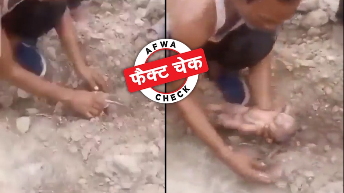 सोशल मीडिया यूजर्स