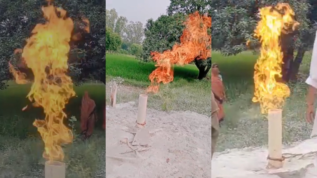 वीडियो ग्रैब.