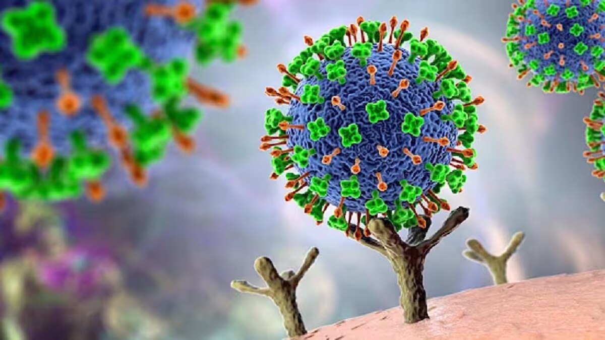 सांकेतिक तस्वीर