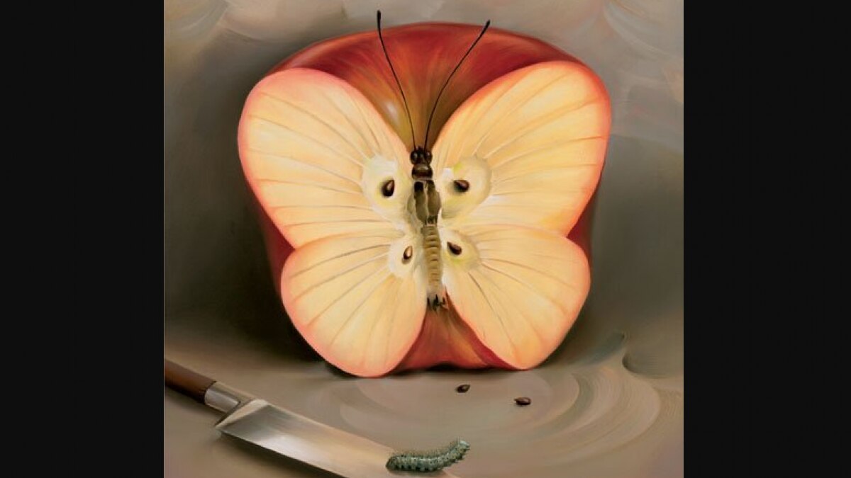 Personality Test (The mind journal) 