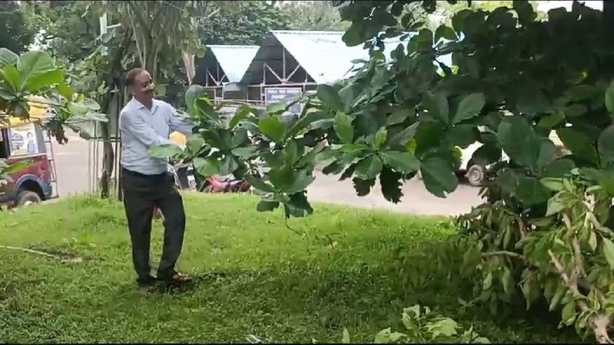 पेड़-पौधों को बेटे की तरह प्यार करता है ये शख्स