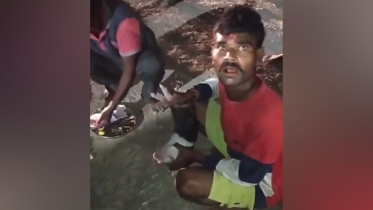 खुलेआम पशु की बलि दे रहा था शख्स.