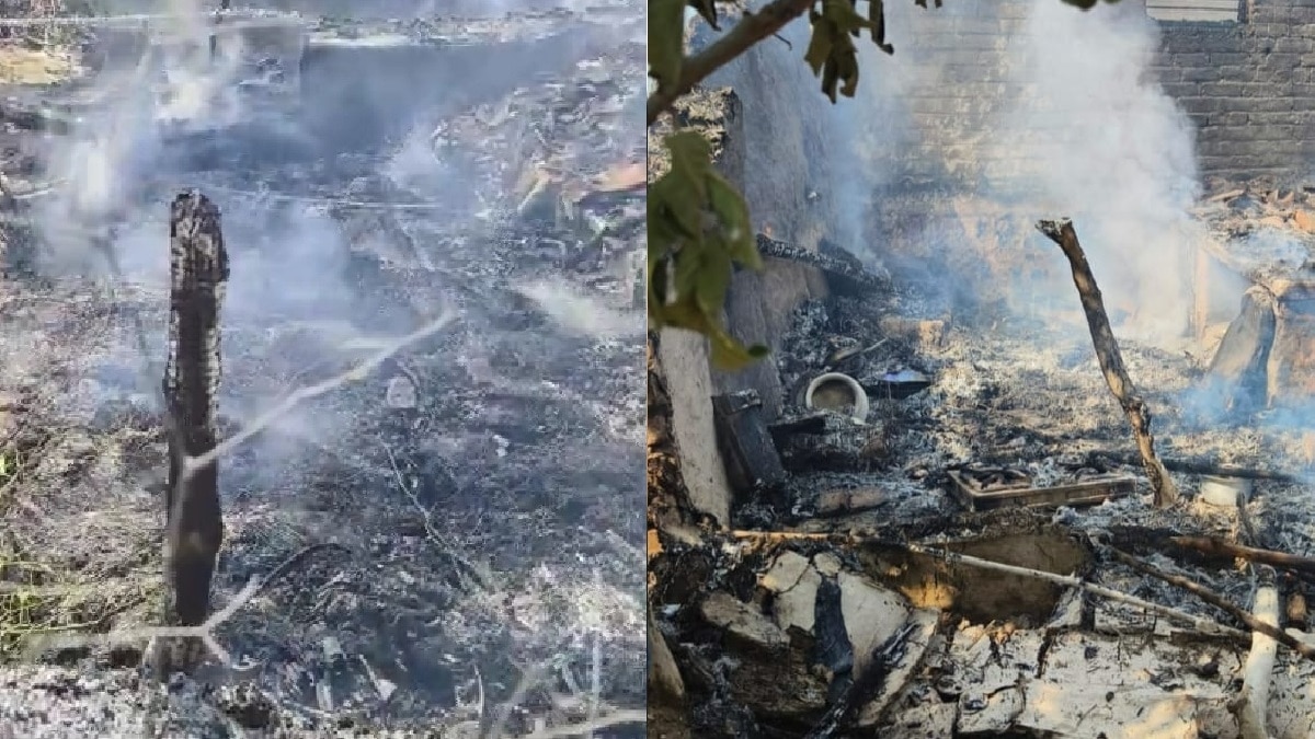 कोबरा को भगाने के लिए घर में किया धुआं, इसके बाद जो हुआ उससे मच गई चीख-पुकार