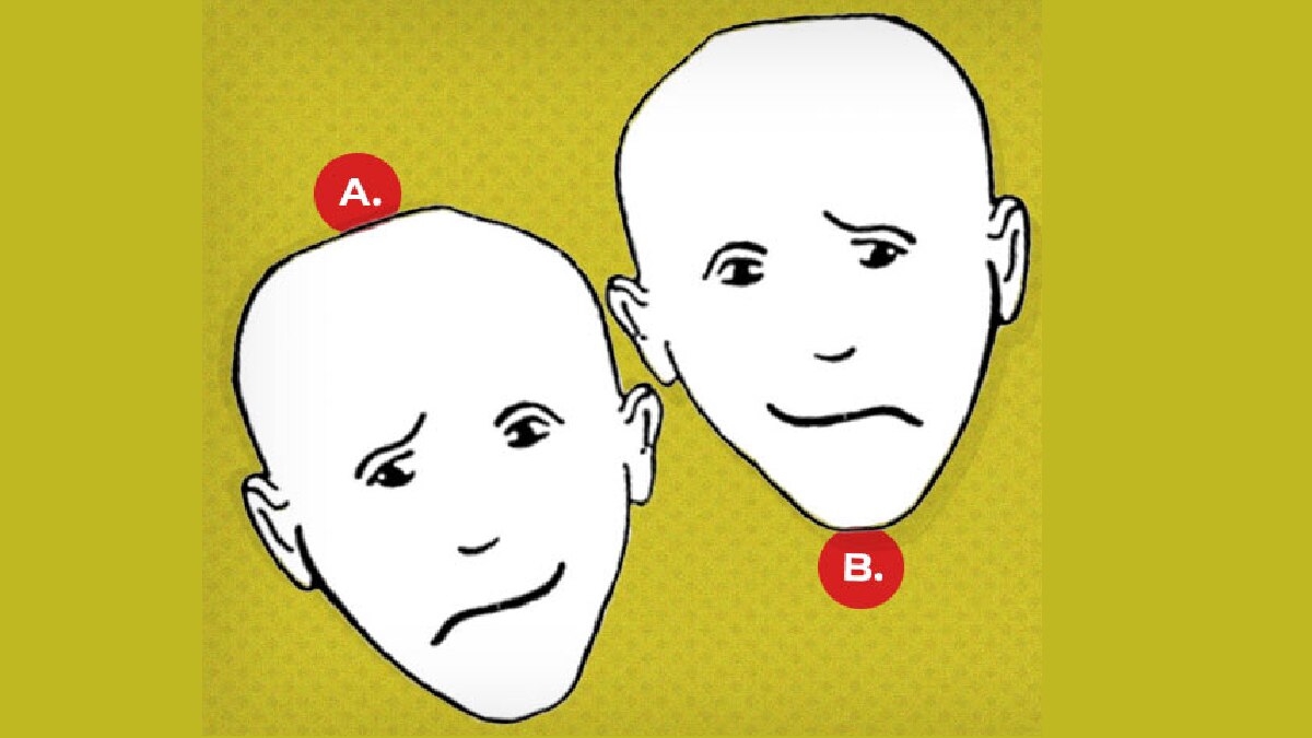 Personality Test (The Mind Journal)